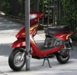 BASI ZR318 Stahlkette – Bild 3