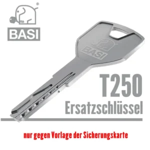 BASI T250 Ersatzschlüssel