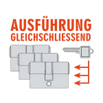 Gleichschließende Schließzylinder