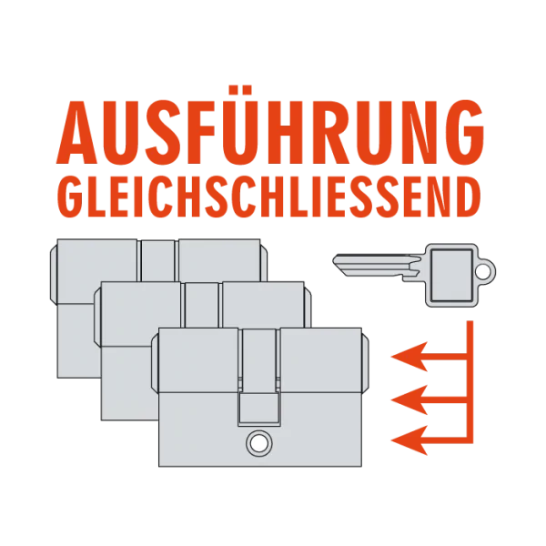 Gleichschließende Schließzylinder