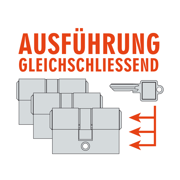 Gleichschließende Schließzylinder