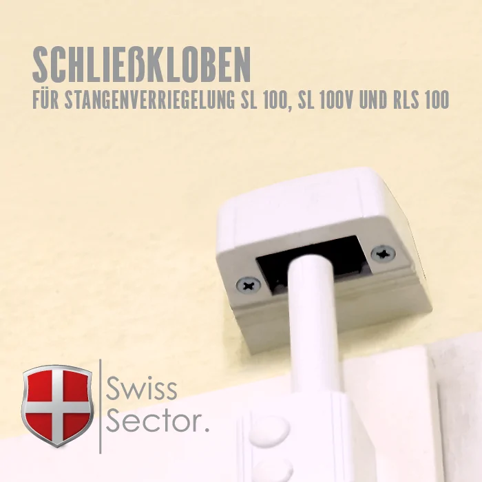 Schließkasten 100