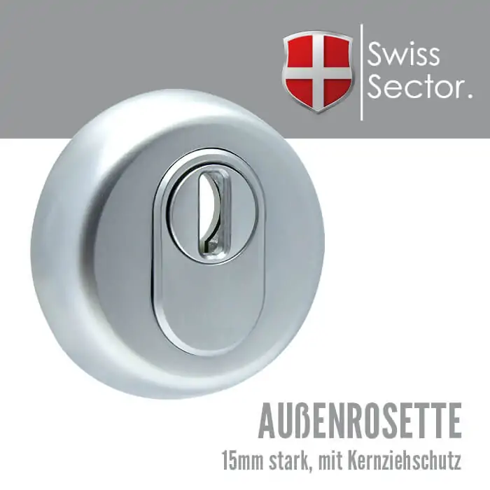 SR100 Vollstahl – Bild 2
