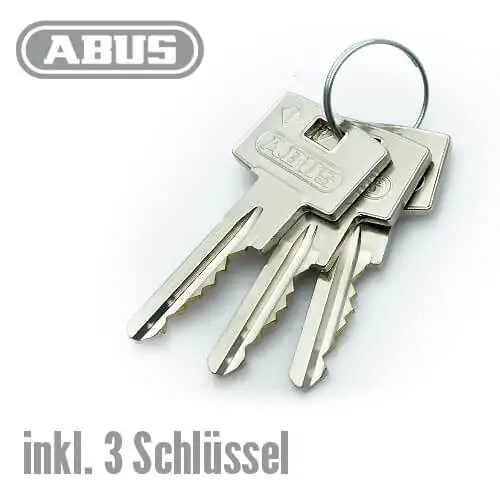 ABUS 310 Standard S5+ Schlüssel