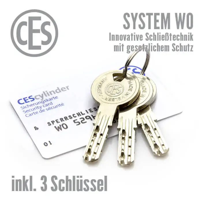 CES WO Hebelzylinder 5558 – Bild 2