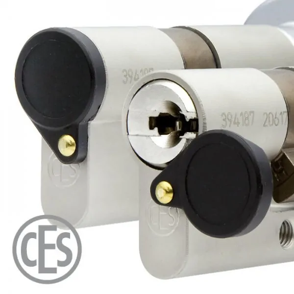 CES RHM Hebelzylinder 5558 – Bild 5