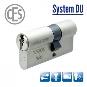 ces system du